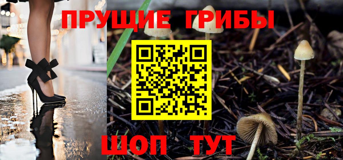 Псилоцибиновые грибы Psilocybine cubensis  Вход с VPN  Светлоград  Галлюциногенные грибы Psilocybine cubensis 
